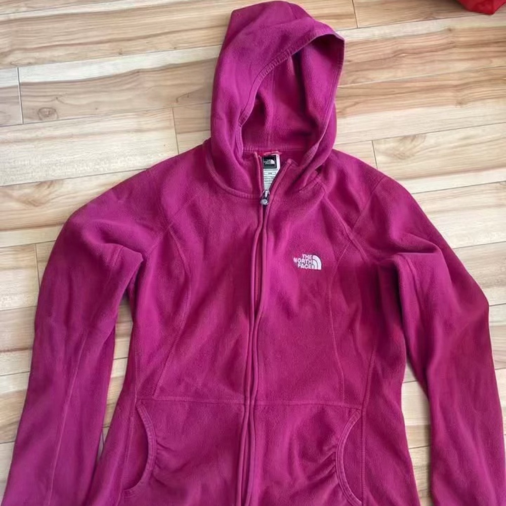 hoodie polar the north face